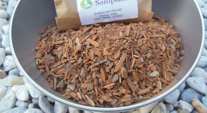 Como baixar a febre - soluções caseiras para aliviar sintomas e