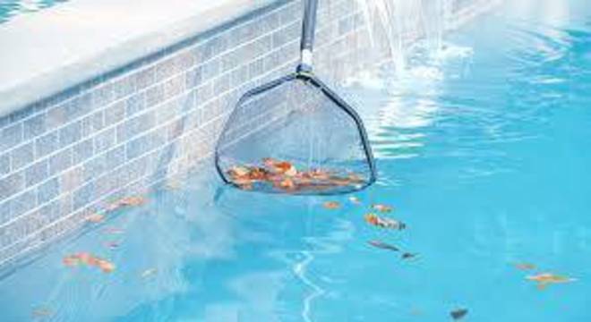 como limpar piscina peneira folhas