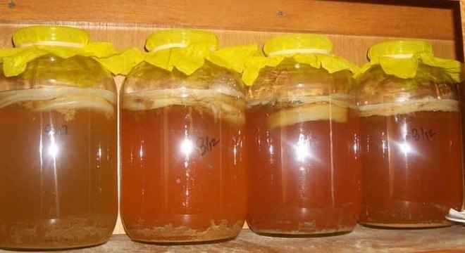 Como preparar o Kombucha em casa