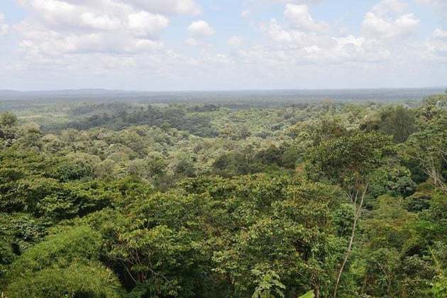 Composta principalmente por floresta tropical, a Guiana Francesa tem Caiena como capital e maior cidade. Outras lugares de destaque são Saint-Laurent-du-Maroni e Kourou.