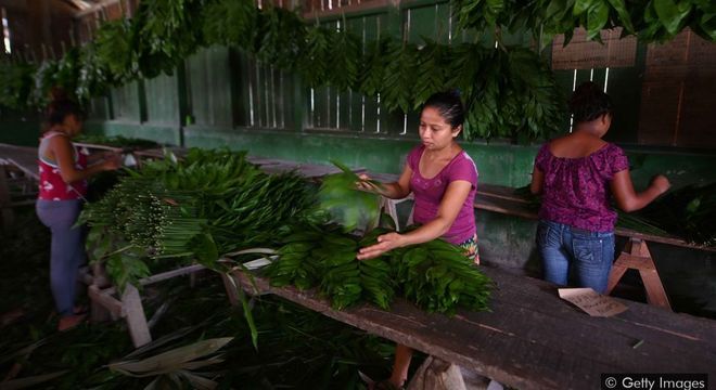  Encontrar maneiras de as pessoas viverem dentro de reservas ambientais, em vez de tentar mantê-las do lado de fora, pode ajudar a preservar sua biodiversidade 