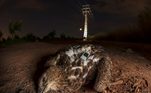Na categoria Ecologia em Ação, o vencedor também foi Roberto Garcia Roa, com o registro Bruma. A imagem mostra uma  fêmea de águia-de-bonelli morta após ser eletrocutada por linhas elétricas. Como Bruma (o nome do animal) tinha um GPS no corpo desde que nasceu, a morte dela ajudará ambientalistas a identificar linhas elétricas que representam um risco a animaisLEIA MAIS: Bola de abelhas e 'hotel' de ursos: veja as incríveis fotos vencedoras do concurso de vida selvagem