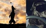 concurso de fotos mais engraçadas de animais