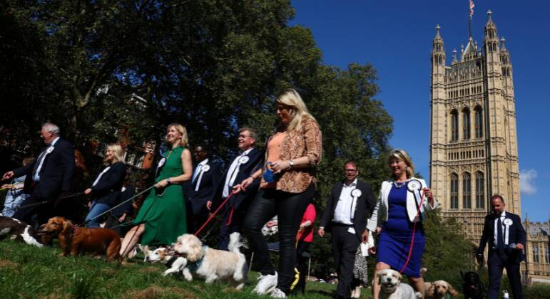 Concurso que elege o Cão do Ano de Westminster 