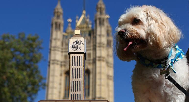 Concurso que elege o Cão do Ano de Westminster 