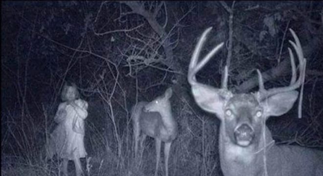 Confira agora 20 imagens assustadoras da internet
