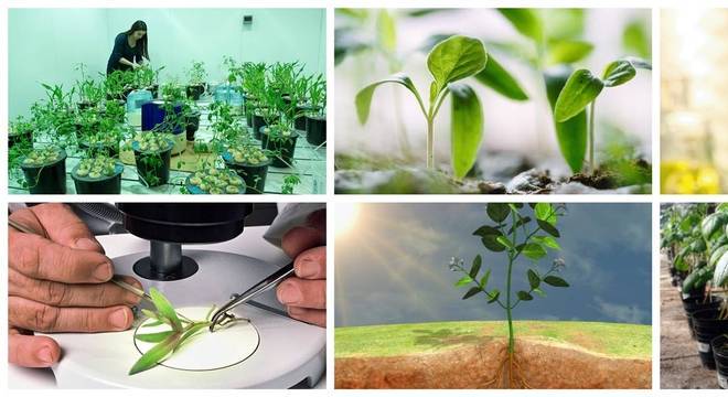 Conheça a Fisiologia – história, atuação, classificação e aplicação prática