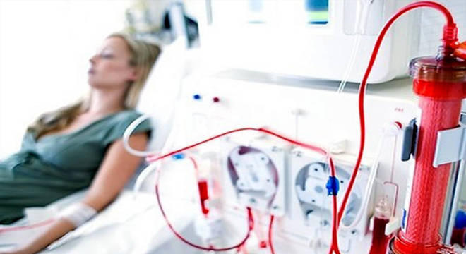Conheça a osmose e saiba como é a movimentação da água na célula