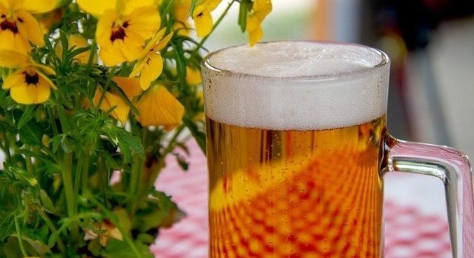 Conheça alguns rótulos de cerveja sem álcool disponíveis no mercado