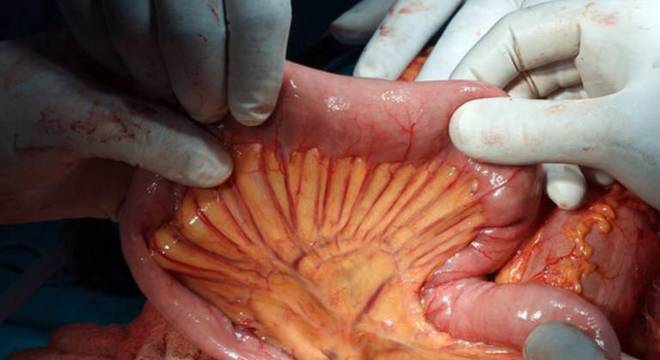 Conhecimento Científico