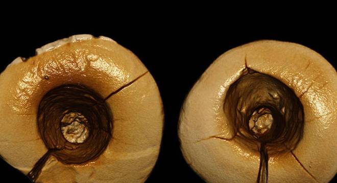 Conhecimento Científico