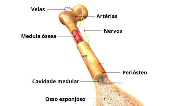 Conhecimento Científico