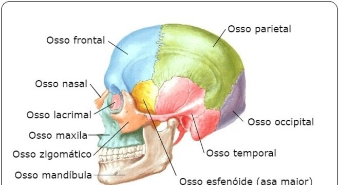 Conhecimento Científico