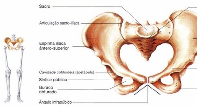 Conhecimento Científico