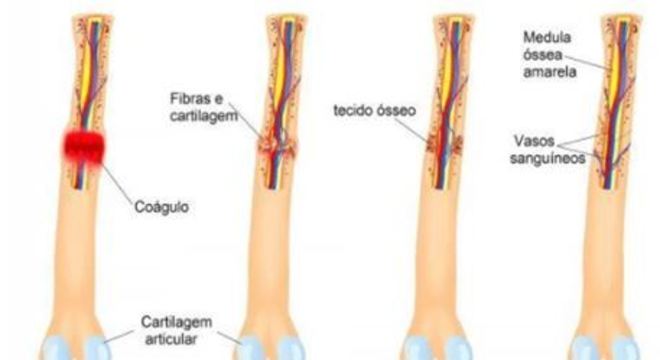 Conhecimento Científico