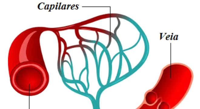 Conhecimento Científico