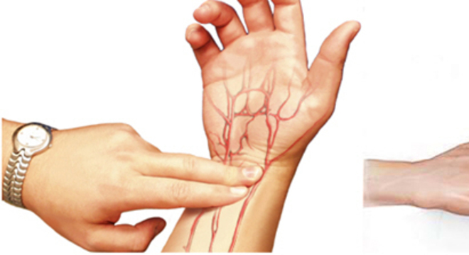 Conhecimento Científico