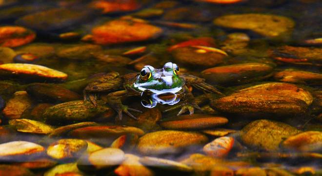 Conhecimento Científico