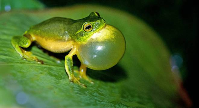 Conhecimento Científico