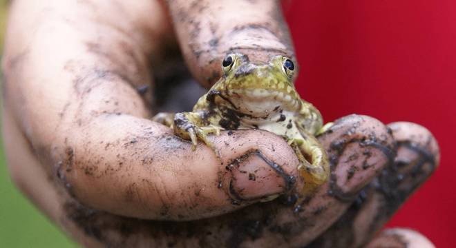 Conhecimento Científico