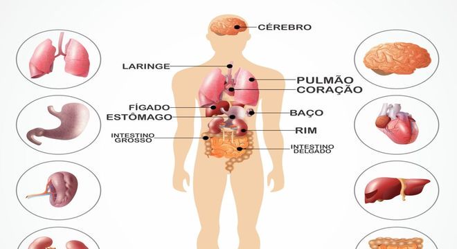 Conhecimento Científico