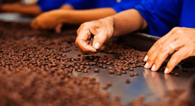 Conhecimento Científico