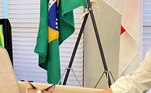 Cônsul-Gato
