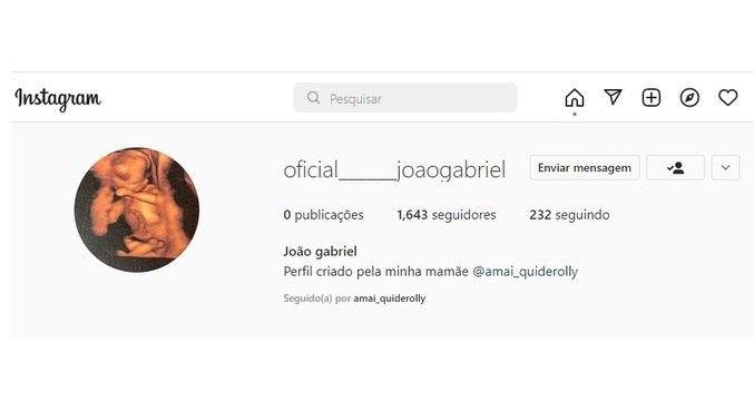 Conta de João Gabriel tem mais de 1.600 seguidores no Instagram