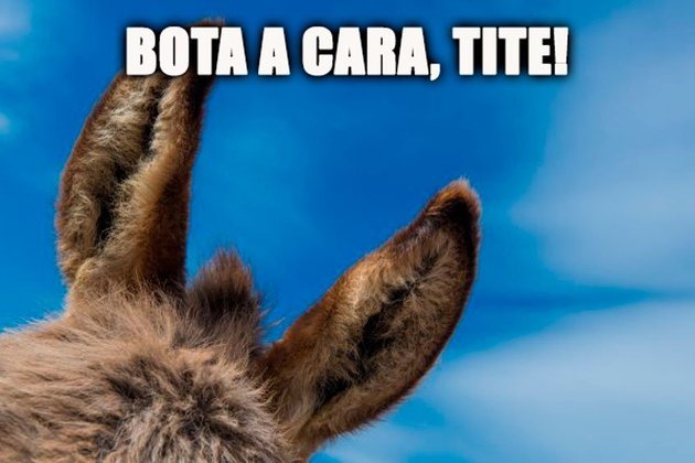 Convocação de Tite para jogos das Eliminatórias contra Equador e Paraguai rendeu memes na web.