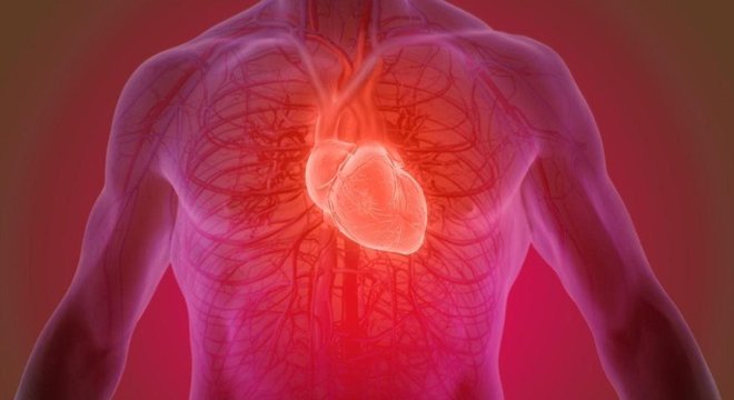 Curativo vivo para o coração? Cientistas estudam alternativas para 'remendar' danos causados por ataque cardíaco