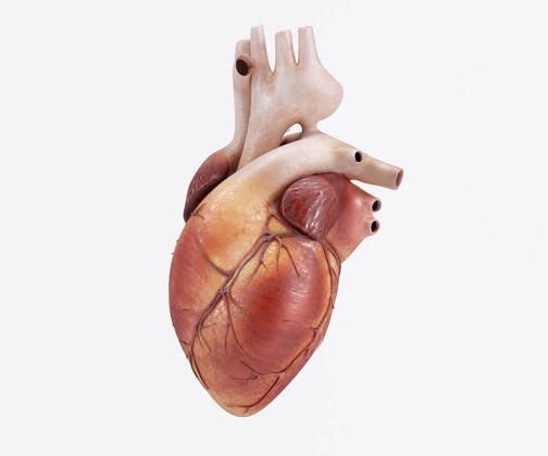 Sintomas de um Ataque Cardíaco (infarto) Os 10 Principais