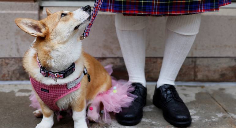 Corgi foi um dos smbolos do Jubileu da rainha Elizabeth