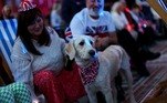 Além de adultos, crianças e adolescentes, o show contou também com a presença de pets, como esse adorável cachorrinho patriota, que exibe uma bandana estampada com a bandeira do Reino Unido. O evento foi realizado ao ar livre, no gramado do Castelo de Windsor