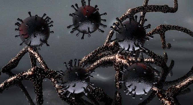 Alteração da proteína Spike deixa anticorpos sem eficácia contra novas cepas 