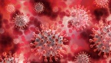 Infecção simultânea com dois vírus não é inesperada, diz pesquisador 