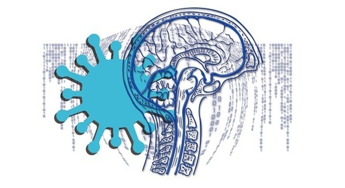 Ensaio sugere mais investigação para saber se problemas no cérebro podem ser revertidos