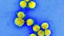OMS diz que investiga origens da Covid após relatório sugerir que  vírus vazou de laboratório chinês