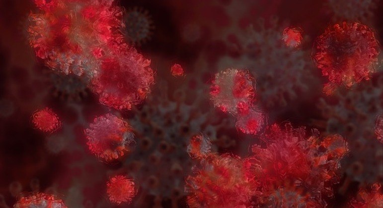 Chamado de RhGB01, o novo vírus é semelhante ao coronavírus que causa a covid-19