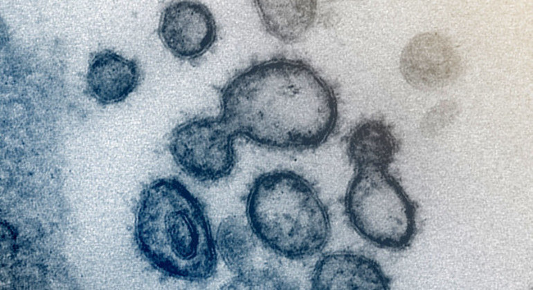 Inverno do hemisfério norte pode desencadear novas variantes do coronavírus