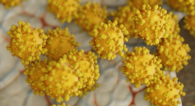 Coronavírus segue em circulação, e novas variantes são mais resistentes e transmissíveis
