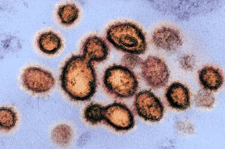 Coronavírus já é registrado em mais de 114 países