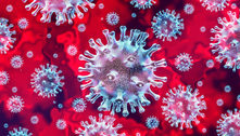 Produto animal congelado segue como possível causa do coronavírus