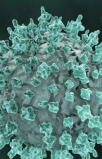 São Paulo confirma o terceiro caso da variante Ômicron no Brasil (Pixabay)