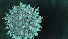 Butantan detecta 19 variantes do novo coronavírus no Estado de SP