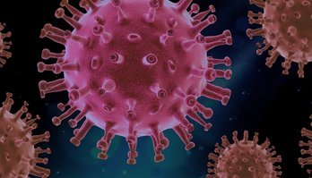 Japão desenvolve anticorpo que evita novas infecções da covid-19 (Pixabay)