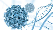 Estudo revela como o vírus da Covid-19 manipula as células para se replicar
