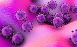 Há agora sete tipos de coronavírus conhecidos que infectam humanos 