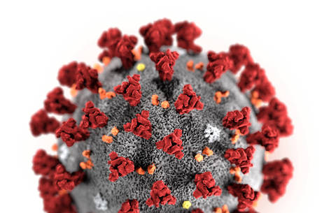 Ilustração mostra o novo coronavírus (2019-nCoV)