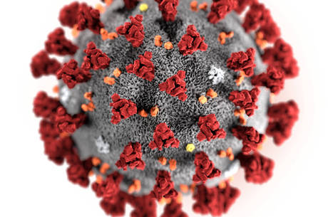 Ilustração do CDC mostra o novo coronavírus (2019-nCoV)