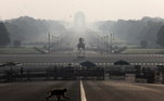 Macaco atravessa a rua em frente ao Palácio Presidencial em Nova Délhi, Índia, durante o confinamento pela covid-19